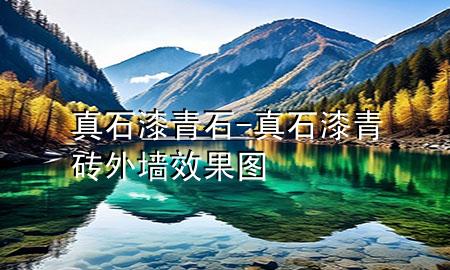 真石漆青石-真石漆青磚外墻效果圖