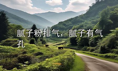 膩子粉排氣，膩子有氣孔