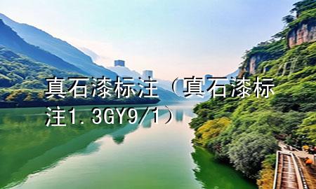 真石漆標注(真石漆標注1.3GY9/1)