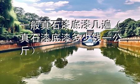 一般真石漆底漆幾遍（真石漆底漆多少錢一公斤）