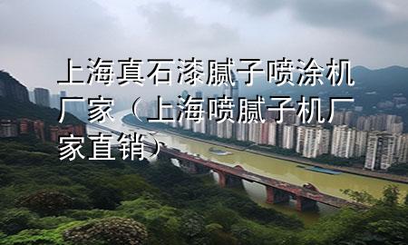上海真石漆膩子噴涂機廠家(上海噴膩子機廠家直銷)