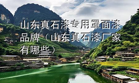 山東真石漆專用罩面漆品牌(山東真石漆廠家有哪些)
