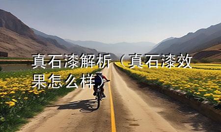 真石漆解析(真石漆效果怎么樣)