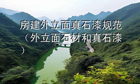 房建外立面真石漆規(guī)范(外立面石材和真石漆)