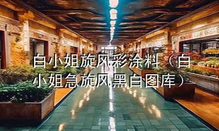 白小姐旋風彩涂料(白小姐急旋風黑白圖庫)