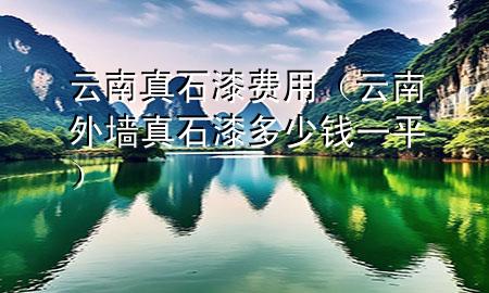 云南真石漆費用(云南外墻真石漆多少錢一平)