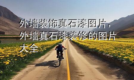 外墻裝飾真石漆圖片，外墻真石漆裝修的圖片大全