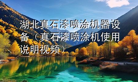 湖北真石漆噴涂機器設備(真石漆噴涂機使用說明視頻)