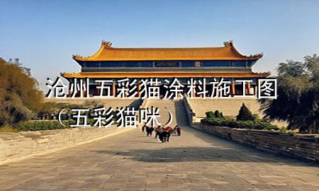 滄州五彩貓涂料施工圖(五彩貓咪)