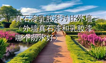 真石漆乳膠漆對比外墻（外墻真石漆和乳膠漆哪個防水好）