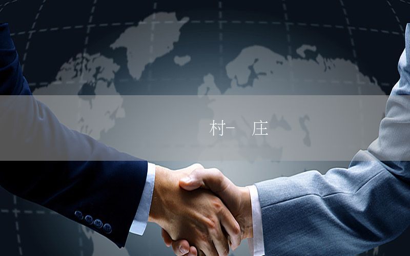 國內(nèi)資訊聶村-聶莊簡歷